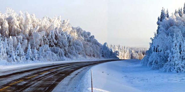 График работы Дирекции FAU в декабре-январе