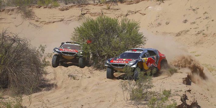 Дали «порулить»