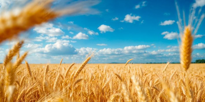 FAU вітає з Міжнародним днем праці