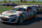 Відбувся міжнародний iRacing-біатлон до Дня Незалежності України