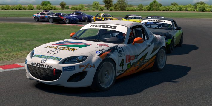 Відбувся міжнародний iRacing-біатлон до Дня Незалежності України